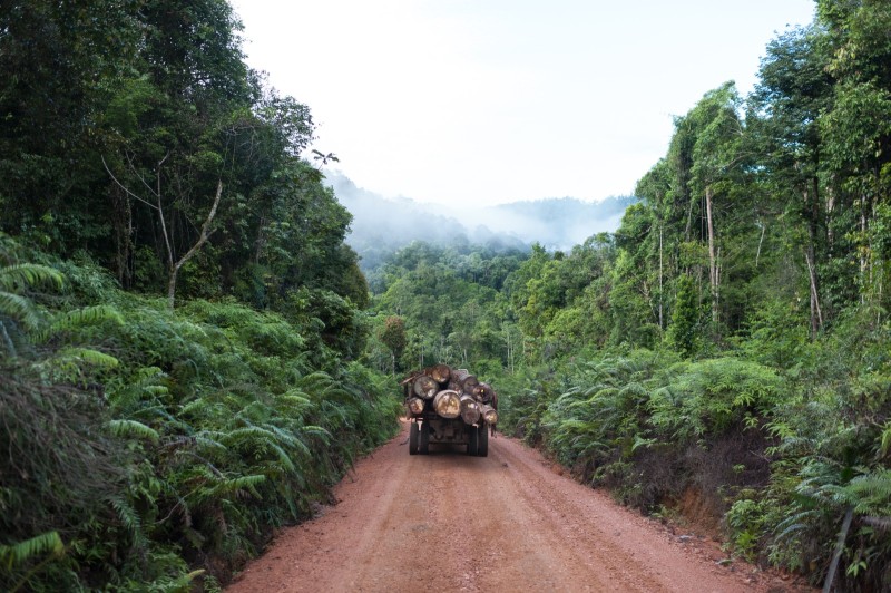 Déforestation & Huile de palme en Indonésie C'est la concession qui crée elle même des pistes dans la forêt tropicale. Les chauffeurs de camions font parfois des trajets longs de plusieurs heures dans ces zones inaccessibles. Ils n'ont alors qu'une seule peur : tomber en panne dans cette jungle hostile.