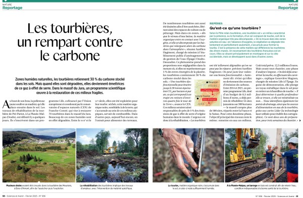 Réhabilitation des tourbières dans le massif du Jura - Sciences et Avenir
