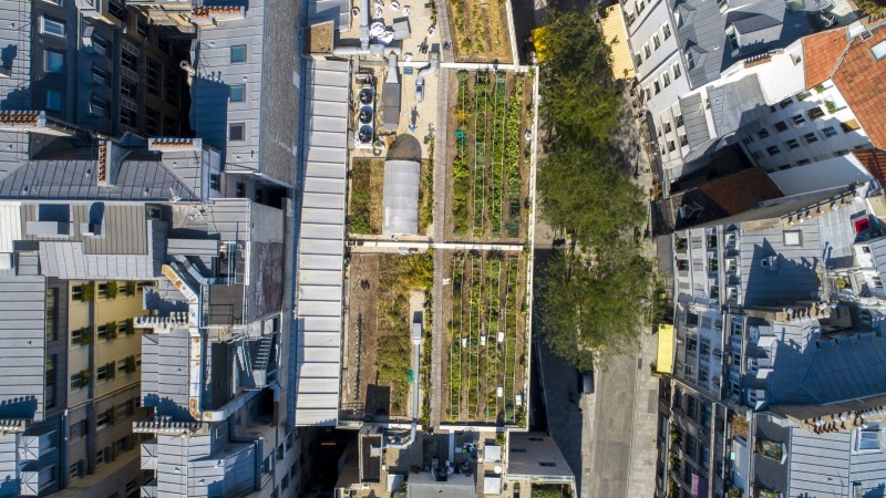 Agriculture urbaine L'association Vergers Urbains, a crée un potager sur le toit du gymnase Jean Dame dans le deuxième arrondissement de Paris en impliquant les citadins qui s'en occupent. 