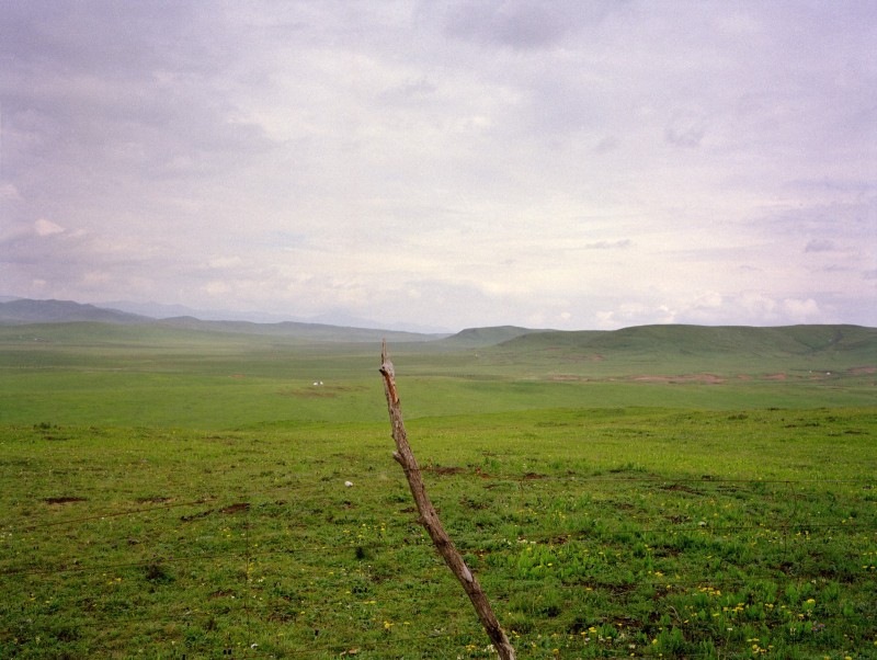 Sédentarisation au Tibet Steppe du haut plateau tibétain.