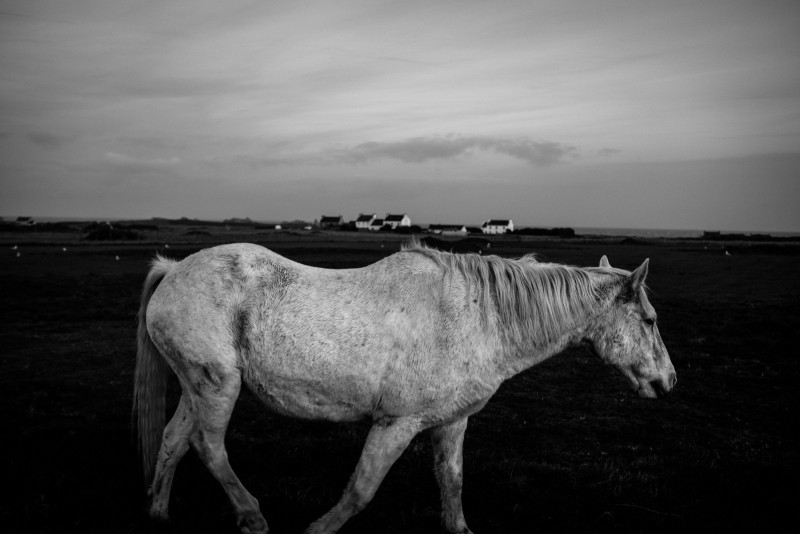 Ouessant