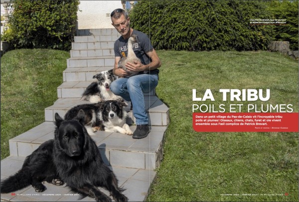 30 MILLIONS D AMIS