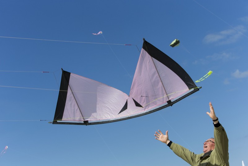 Rencontres Internationales de Cerfs Volants de Berck Sur la plage de Berck, les rencontres internationales de cerfs-volants de Berck.