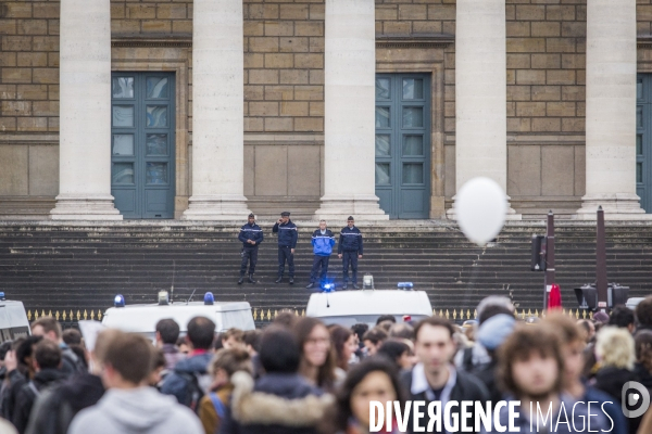 Rassemblement devant l Assemblee Nationale contre la loi travail et le recours au 49-3