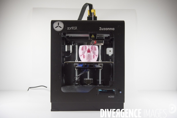 Impression d objets 3D dans le Fablab  FabShop  à Paris