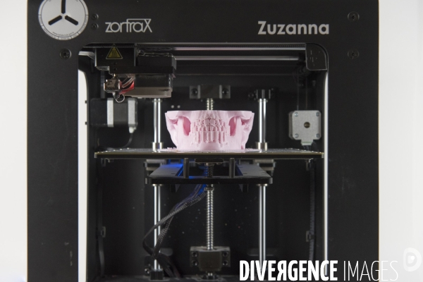 Impression d objets 3D dans le Fablab  FabShop  à Paris