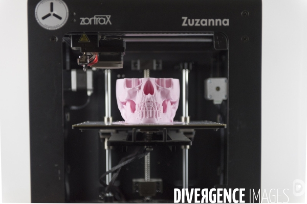 Impression d objets 3D dans le Fablab  FabShop  à Paris