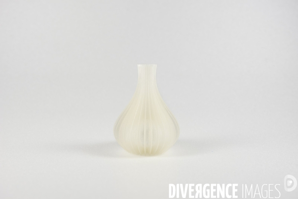 Impression d objets 3D dans le Fablab  FabShop  à Paris