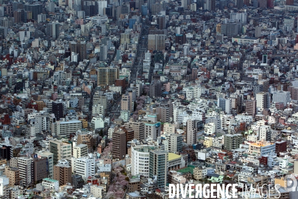 Tokyo vue du ciel