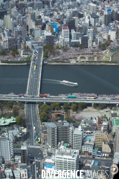 Tokyo vue du ciel