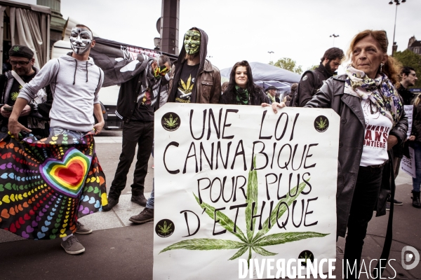 Marche mondiale du cannabis, Paris