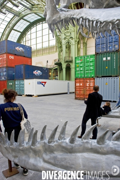 Monumenta 2016 au Grand Palais,.Empires, installation de l artiste Huang Yong Ping