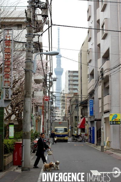 Tokyo Skytree