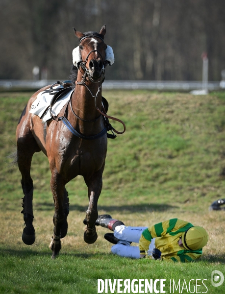Meeting d hiver Courses hippiques sur l Hippodrome de Pau dans les Pyrénées Atlantiques