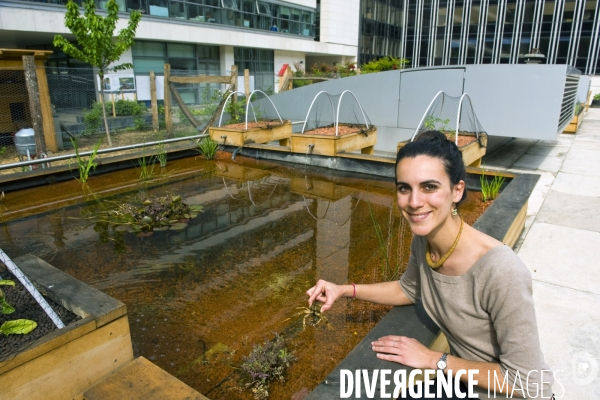 Demonstrateur d agriculture urbaine sur le toit du siege social  de la RATP.