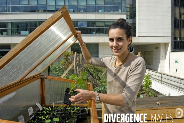 Demonstrateur d agriculture urbaine sur le toit du siege social  de la RATP.