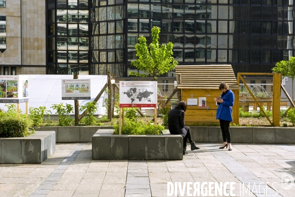 Demonstrateur d agriculture urbaine sur le toit du siege social  de la RATP.