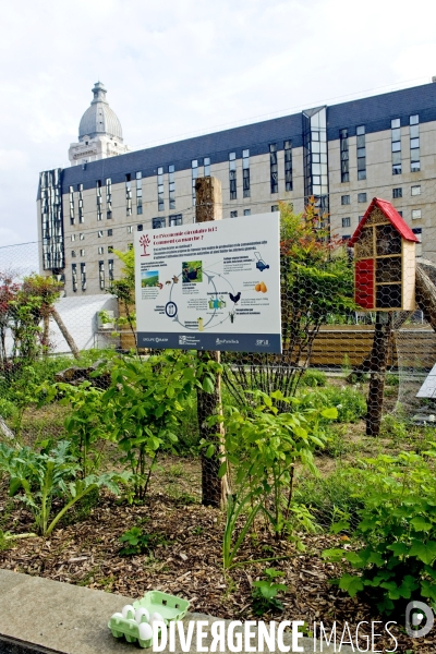 Demonstrateur d agriculture urbaine sur le toit du siege social  de la RATP.