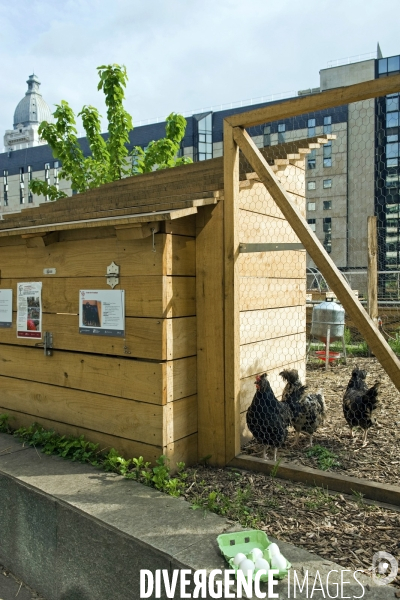 Demonstrateur d agriculture urbaine sur le toit du siege social  de la RATP.