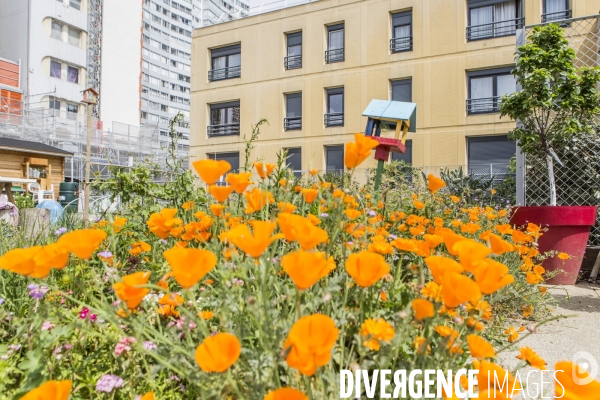 Les jardins partages de Beaugrenelle