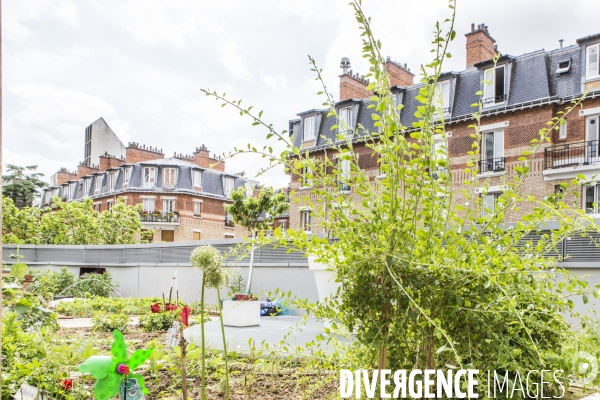 Les jardins partages de Beaugrenelle