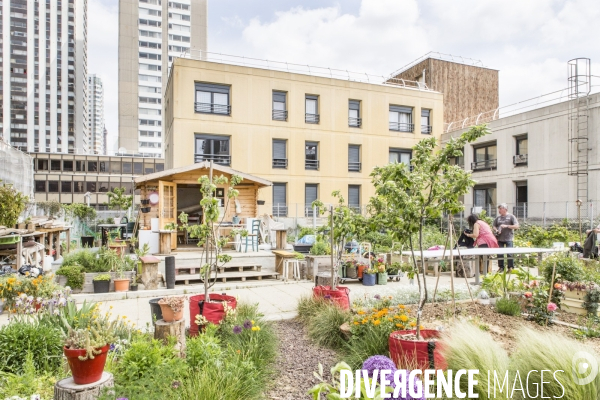 Les jardins partages de Beaugrenelle