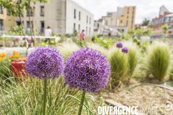 Les jardins partages de Beaugrenelle