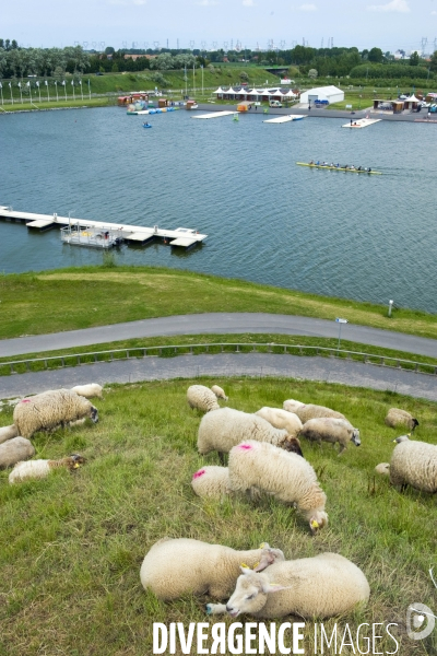 Le PAarc.La base nautique olympique et de loisirs des rives de l Aa