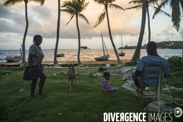 # archives haiti novembre 2014 #