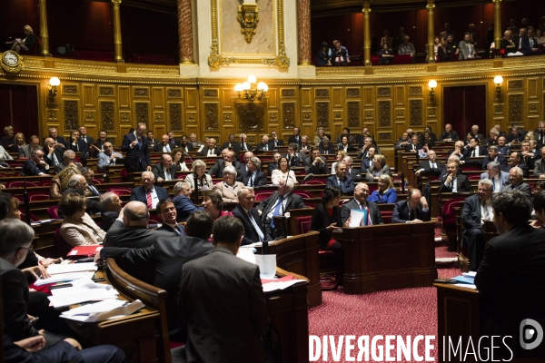 Questions au gouvernement au Senat.