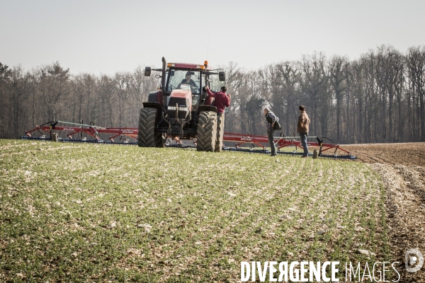 Revolution Terrestre #1- Conversion de quatre cerealiers de l Yonne a l agriculture biologique.