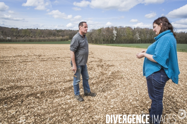 Revolution Terrestre #1- Conversion de quatre cerealiers de l Yonne a l agriculture biologique.