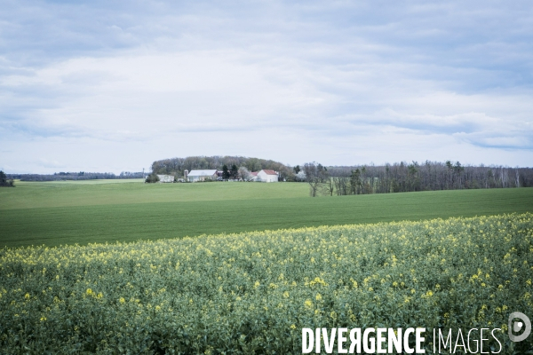 Revolution Terrestre #1- Conversion de quatre cerealiers de l Yonne a l agriculture biologique.