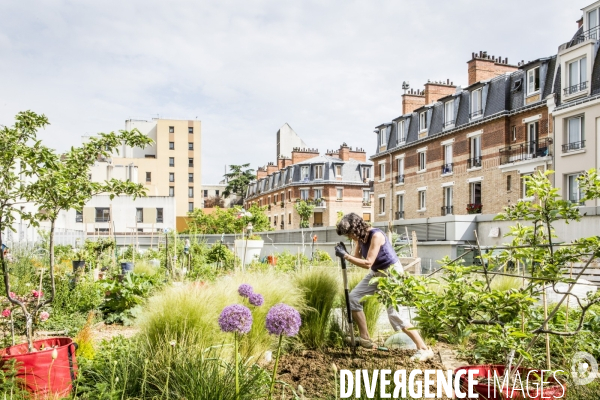 Les jardins partages de Beaugrenelle