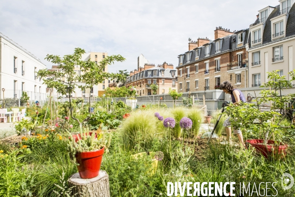 Les jardins partages de Beaugrenelle