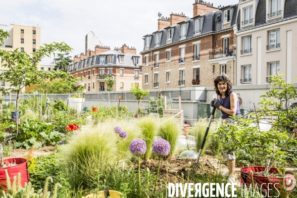 Les jardins partages de Beaugrenelle