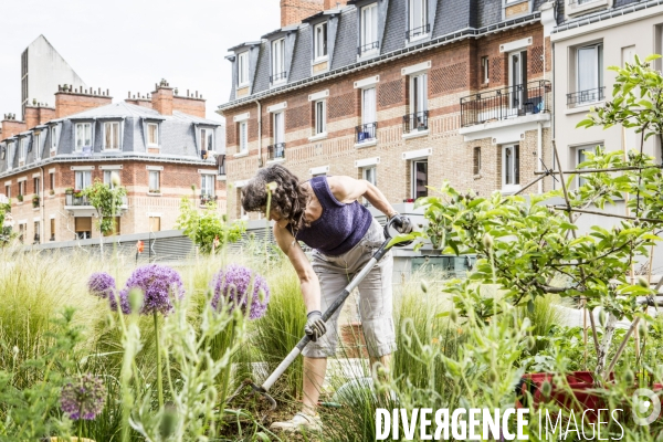 Les jardins partages de Beaugrenelle