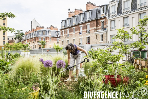 Les jardins partages de Beaugrenelle