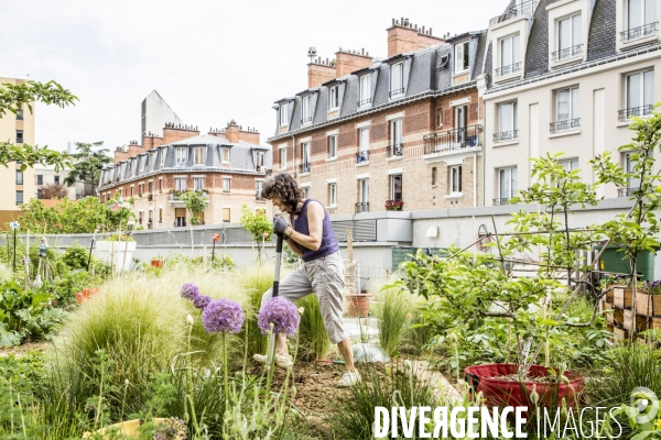 Les jardins partages de Beaugrenelle