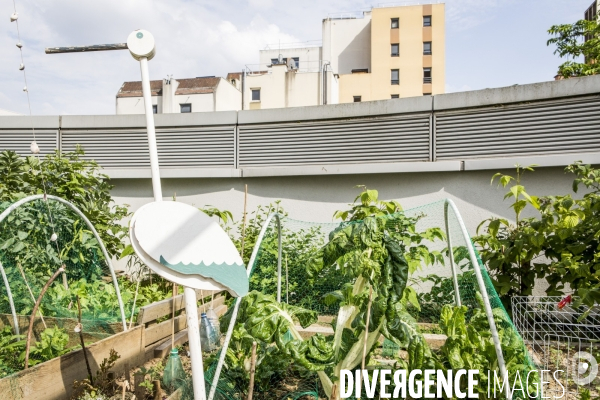 Les jardins partages de Beaugrenelle