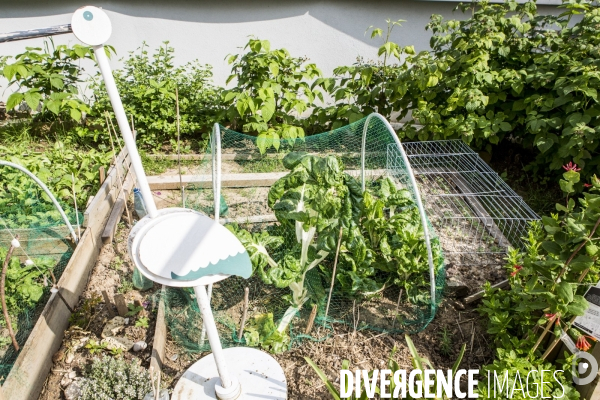Les jardins partages de Beaugrenelle
