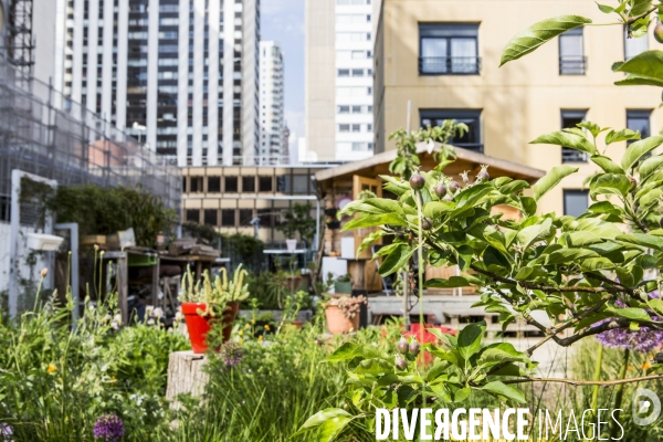 Les jardins partages de Beaugrenelle