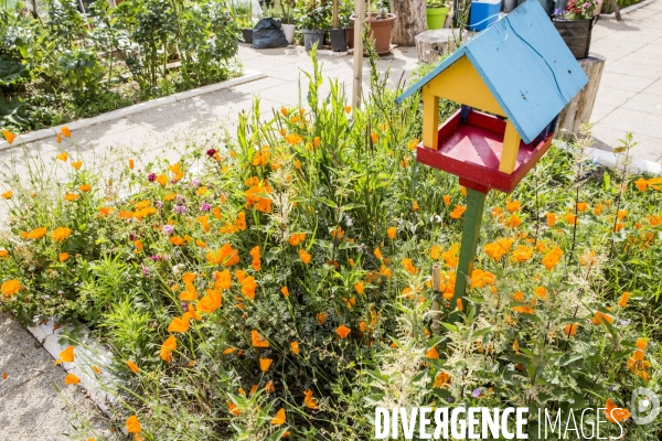 Les jardins partages de Beaugrenelle