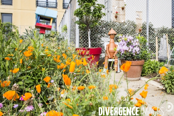 Les jardins partages de Beaugrenelle