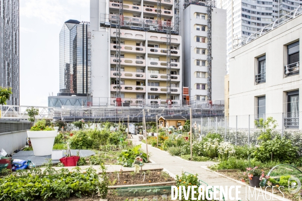 Les jardins partages de Beaugrenelle