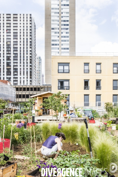 Les jardins partages de Beaugrenelle