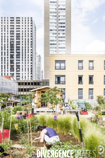 Les jardins partages de Beaugrenelle