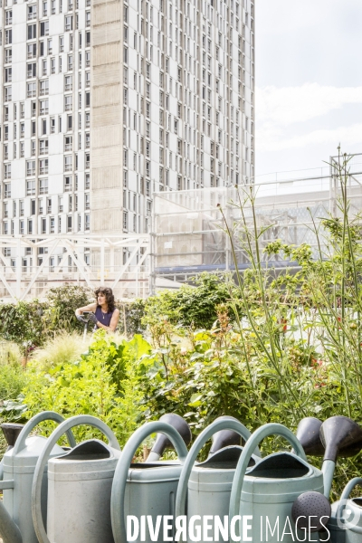 Les jardins partages de Beaugrenelle