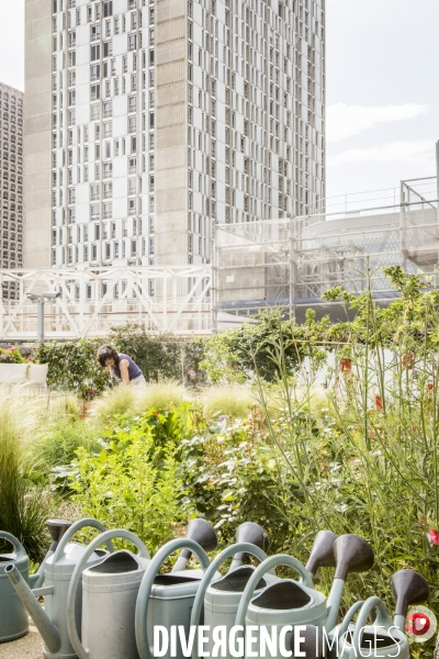 Les jardins partages de Beaugrenelle