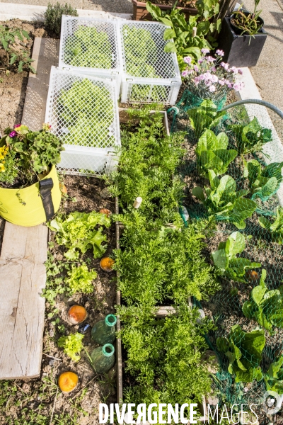 Les jardins partages de Beaugrenelle